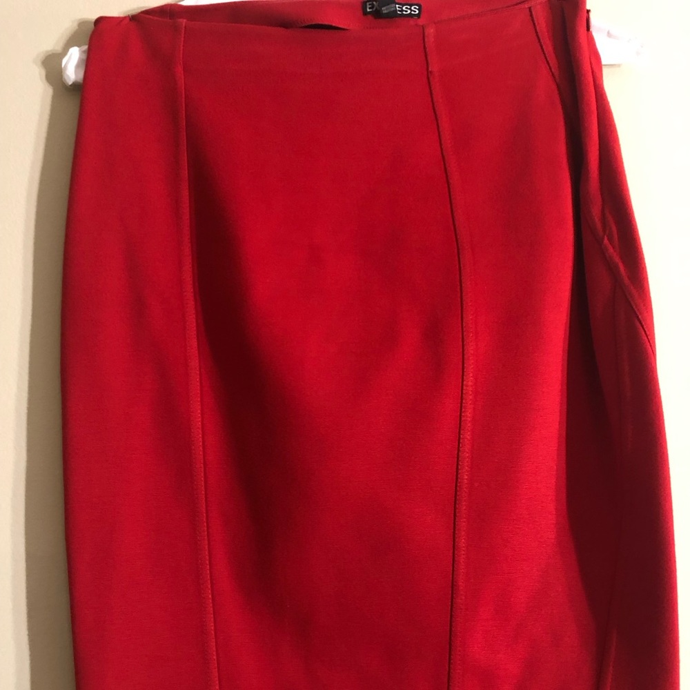Express Bodycon Skirt